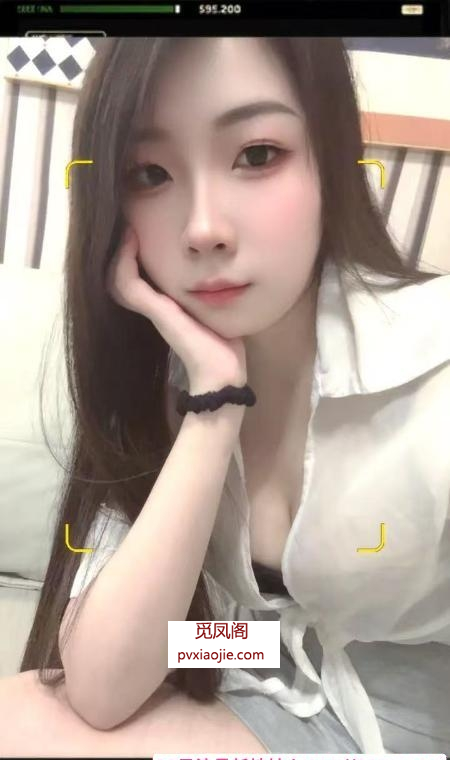 丝袜情趣大长腿